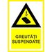 Placuta pentru greutati suspendate